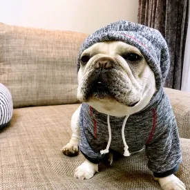 2018 New Dog Hoodies in 2 Colors